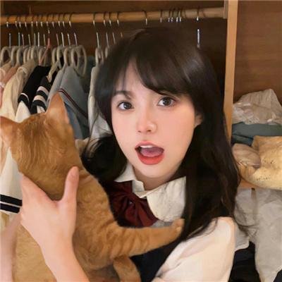 铜雀春深美人谋